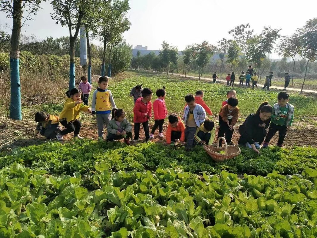 什么是華德福教育